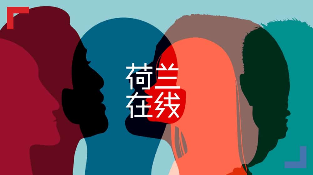 荷兰在线 官网模板配图